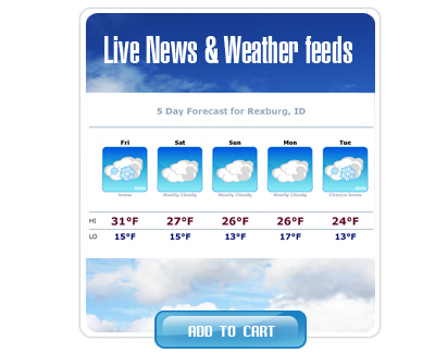 Live News & Weather Feeds